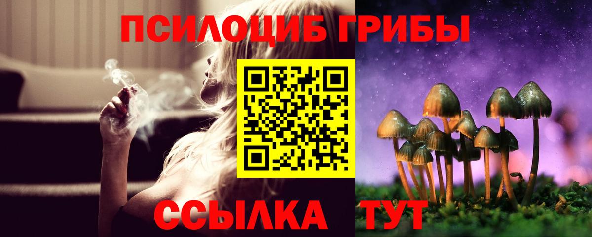 Псилоцибиновые грибы прущие грибы Новый Уренгой